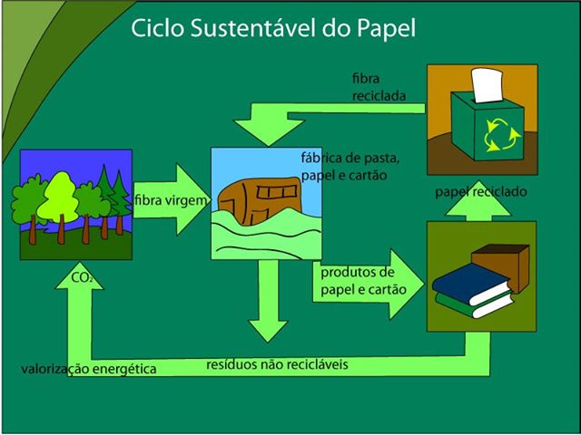 reciclagem do papel processo passo a passo