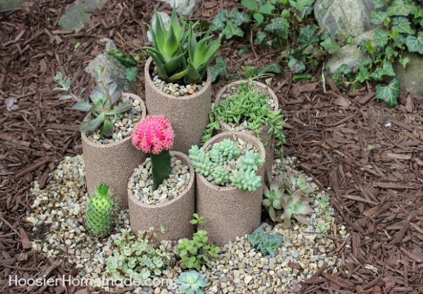 Montar um jardim de suculentas com material reutilizado é muito fácil e vai deixar a sua casa mais bonita (Foto: hoosierhomemade.com) 