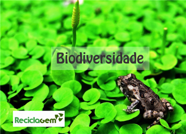 biodiversidade brasileira