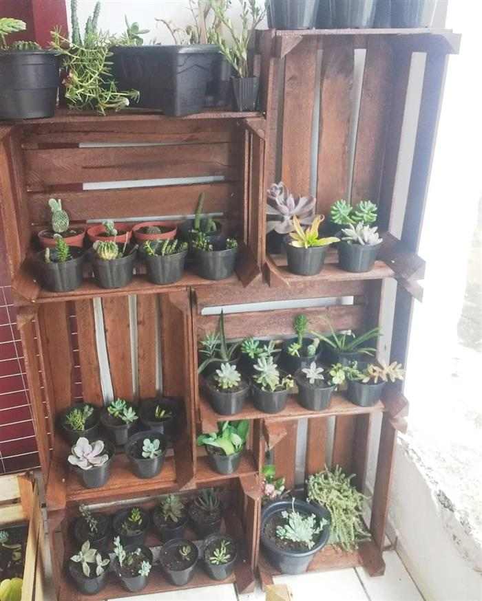 movel com caixote para plantas