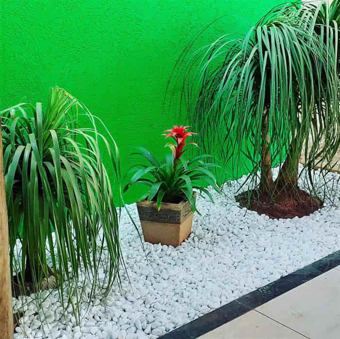 jardim decorado com pedra