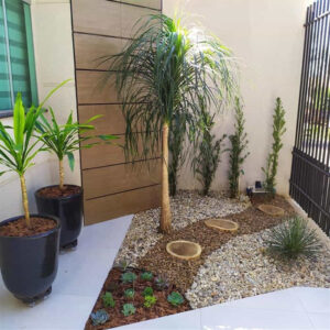 jardim pequeno com pedras e suculentas