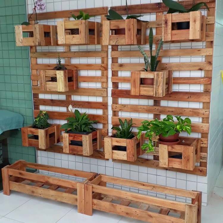 decoração com plantas na parede