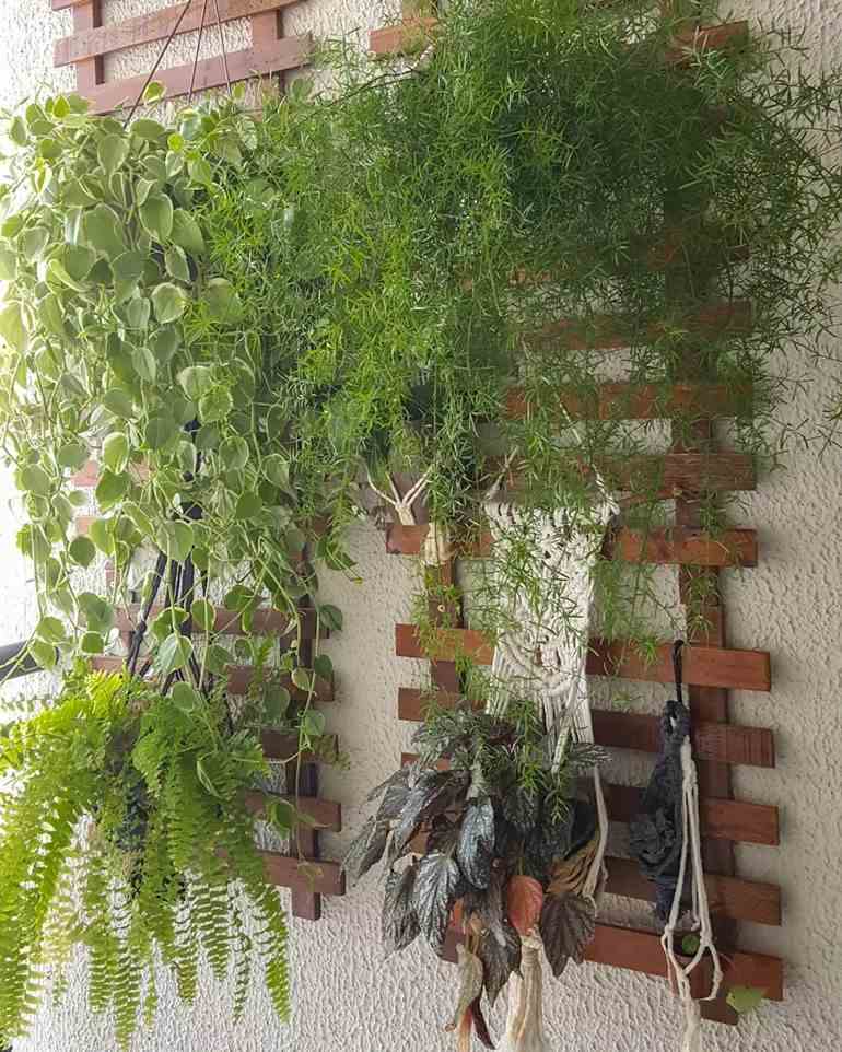 Jardim com plantas na parede
