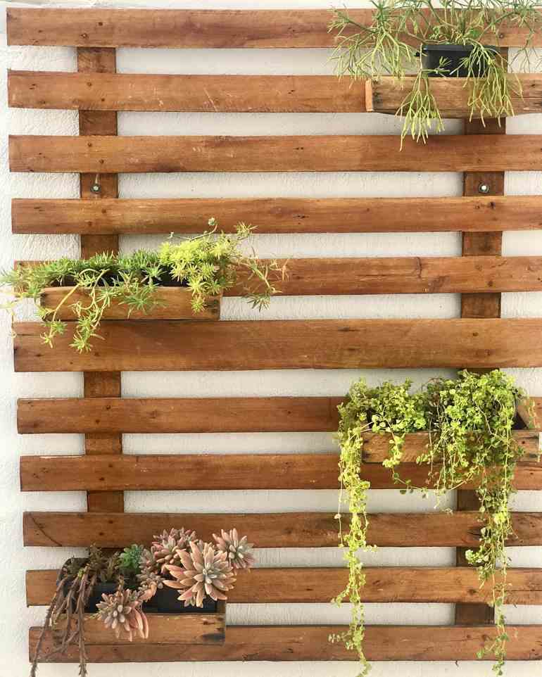 Jardim de pallet com plantas resistentes ao sol